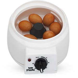 egg boiling in steemo multi steam cooker polycarbonate transparent model